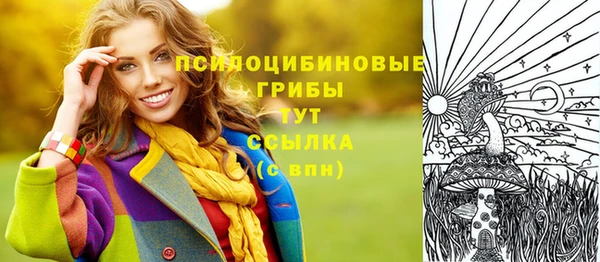стафф Горнозаводск